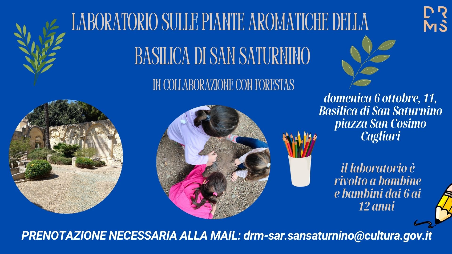 SCOPRIAMO INSIEME LE PIANTE AROMATICHE DELLA BASILICA DI SAN SATURNINO